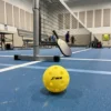 Balle de pickleball indoor au pied du filet dans un gymnase